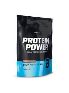 BioTechUsa Protein Power 1000 g